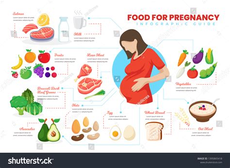 Pregnancy nutrition infographic : 734 images, photos et images vectorielles de stock | Shutterstock