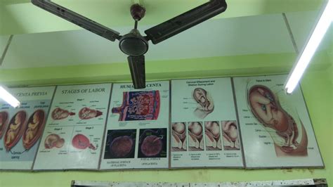 CHMCH - Gynaecology & Obstetrics