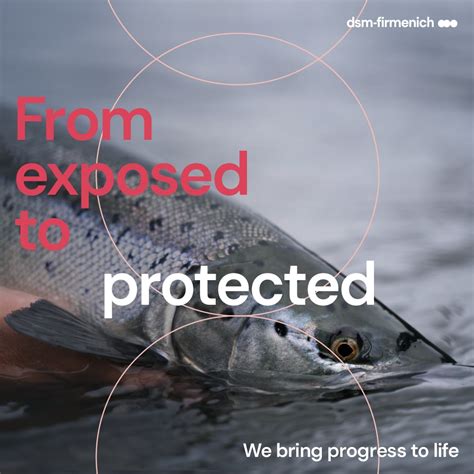 Protect your aquatic animals with care