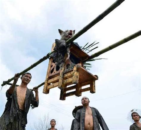 刚才看新闻，贵州举办了一个"抬狗节"的民