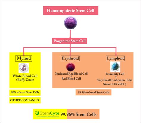 What Is Nrbc In Blood Test at Brodie Purser blog