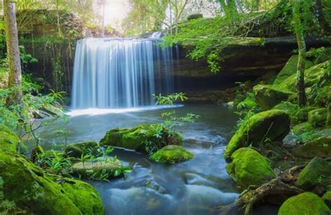 Phu Kradueng National Park: A Small Guide For A Blissful Holiday!