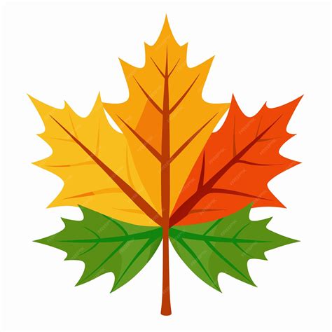 Maple Leaves Clip Art Vector Illustration Design | Premium AI-generated ...