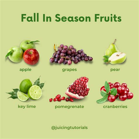 Fall Fruits in Season | Vegetable benefits, Fruit benefits, Fruit in season
