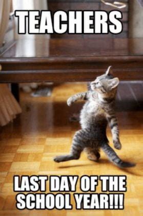 Image result for Meme for Python Comment