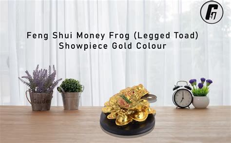 Buy GJ Vastu Feng Shui Money Frog (Legged Toad) Showpiece Gold Colour ...