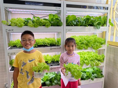 Primary Science 的图像结果