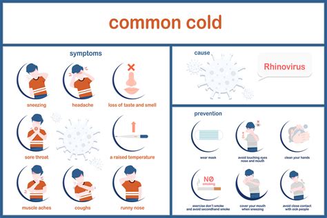 Common Cold Prevention