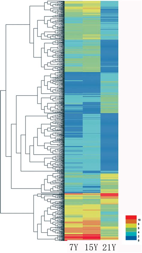 Transcriptome TreeMap 的图像结果