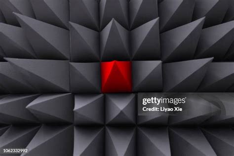 Pyramid Science 的图像结果