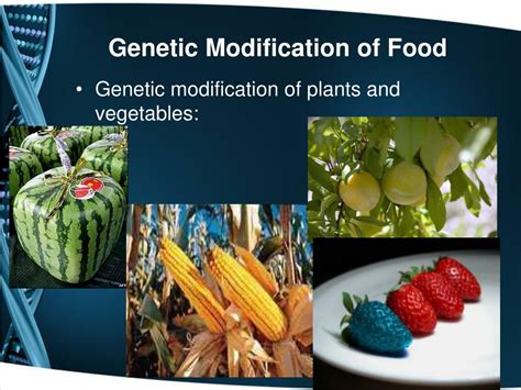 Bioethics 的图像结果