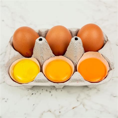 Different Colors Of Orange