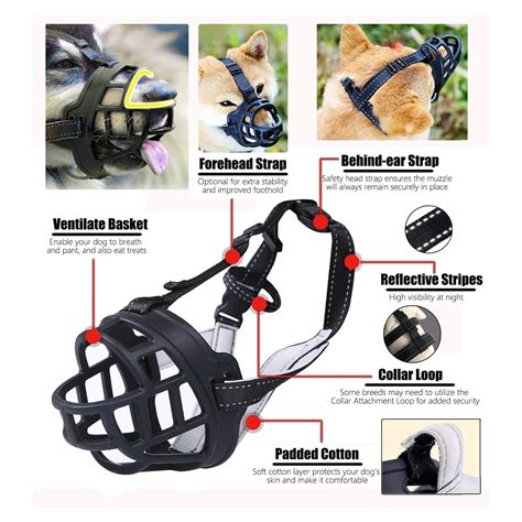 Top 10 Best Dog Muzzles in 2022 Reviews - Show Guide Me