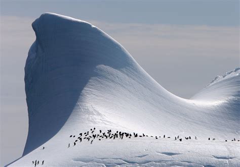 Elephant Island, Antarctica [1330x930] : EarthPorn