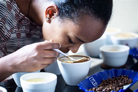 Image result for Cupping Tutorial