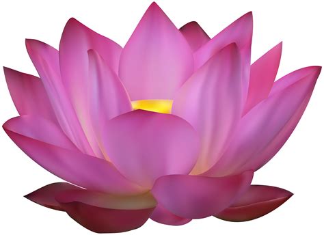 Flower clipart pink lotus, Flower pink lotus Transparent FREE for ...