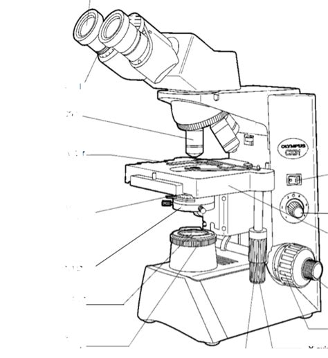 Image result for Microscope Compound