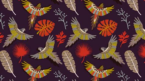Wallpaper parrots, birds, feathers, colorful, vector, pattern hd ...