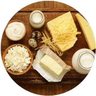 Dairy | Fresheco
