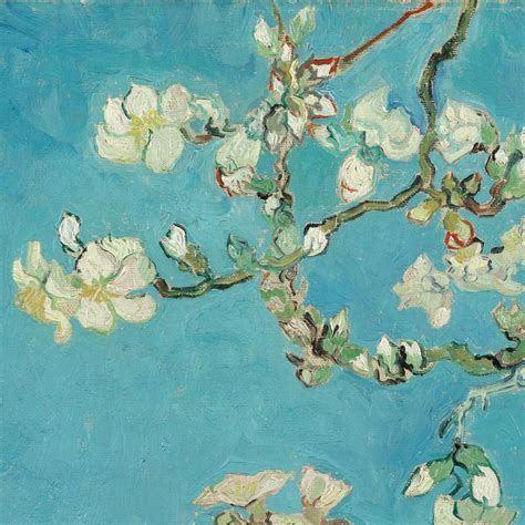 Van Gogh Almond Blossom