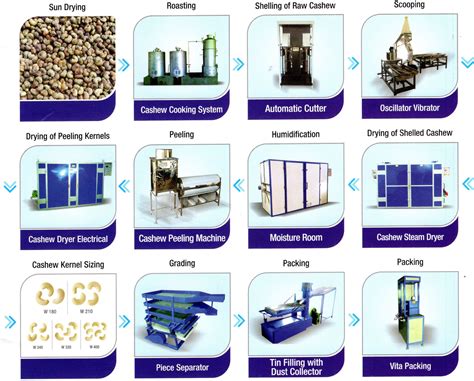 Cashew Processing Machinery, Cashew Nut Process Plant India