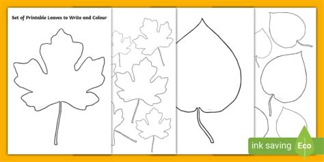 Printable Leaves - Primary Resources (teacher made) - Twinkl