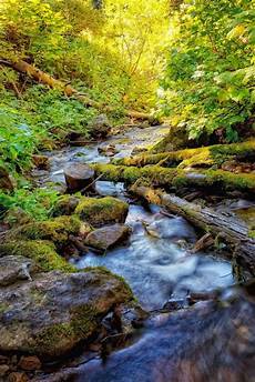 Nature Wallpaper Free For Mobile by Beautiful Wallpapers Of Nature For Mobile Wallpaper Cave Nature Wallpaper Free For Mobile