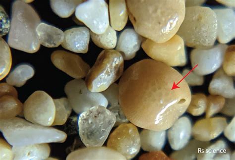 Sand Under a Microscope - Rs' Science