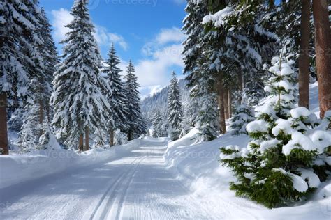 Cross-country ski trail winding through snowy forest in winter 72787330 ...