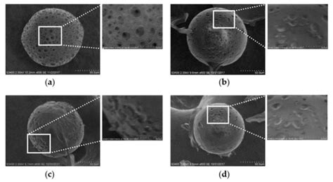 PLGA Microspheres with Alginate-Coated Large Pores for the Formulation ...