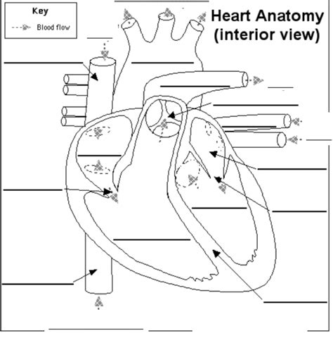 Image result for Heart Rate Sensor Raspberry Pi