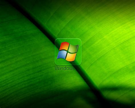 Import wallpaper: WINDOWS XP