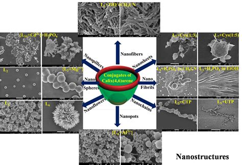 Research - IITTP CPR Lab