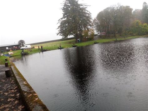 PINEWOOD TROUT FISHERY (Kilmacolm) - What to Know Before You Go