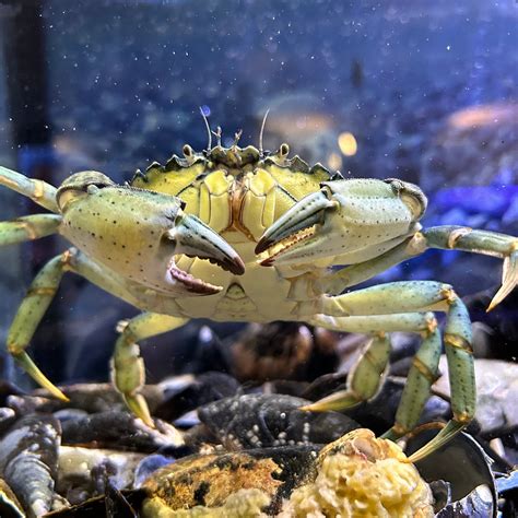 OCEANARIUM AND EDUCATION CENTER (2024) All You Need to Know BEFORE You ...