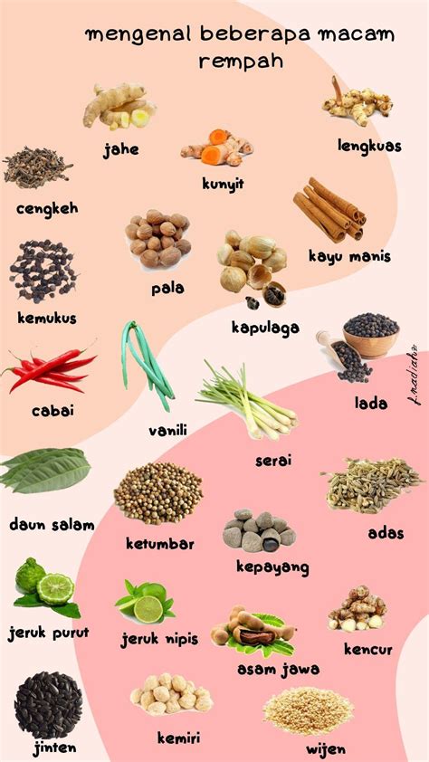 20 jenis rempah rempah asli indonesia