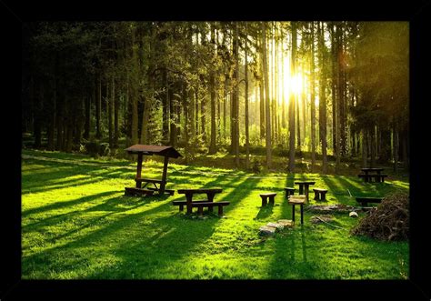 Shree Handicraft Vastu Beautiful Nature and Landscape Scenery Photo ...