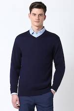 Buy Men Navy Textured V Neck Sweater Online - 39743233 | Peter England