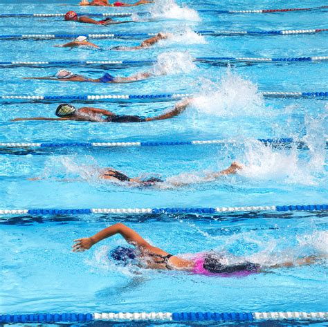 Cheer Team Swim 的图像结果