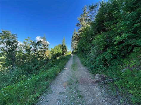 Badger Mountain, Idaho - GPS Trail Map, Conditions & Difficulty | onX ...