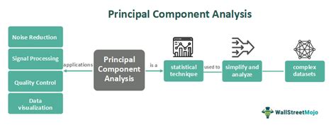 Image result for Principal component analysis PCA Applications