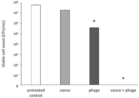 Eradication of Vancomycin-Resistant Enterococci by Combining Phage and ...