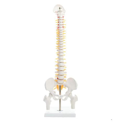 Diagnostic Equipment - MeddeyGo.com