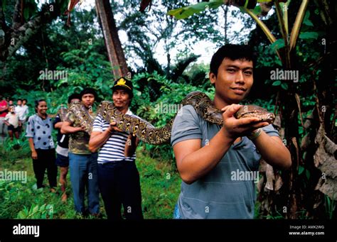 Image result for Netzpython