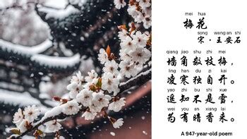 Ancient Chinese winter poem Plum Flowers 古诗梅花 by Xiaoping Liu | TPT