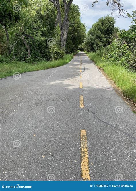 Stevens Creek Trail stock photo. Image of stevens, greenery - 179680962