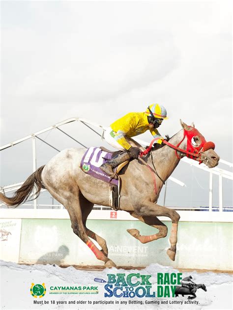 Caymanas Park Racing | Horse Racing Track | 🏇 The Race to Greatness ...