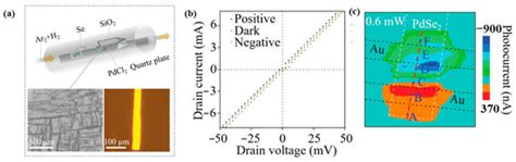 Sensors | Special Issue : Feature Papers in Optical Sensors 2024