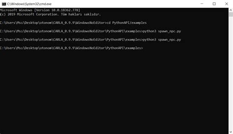 Image result for Python API Client Carla Built From Source