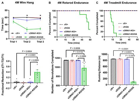 Exacerbated Skeletal Muscle Phenotype in Mice with ‘Homotypic ...